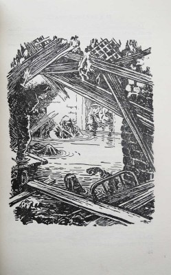 Матвеев Г. Тарантул. Рис. Н. Кочергина. Л.: ДЕТГИЗ, 1957.